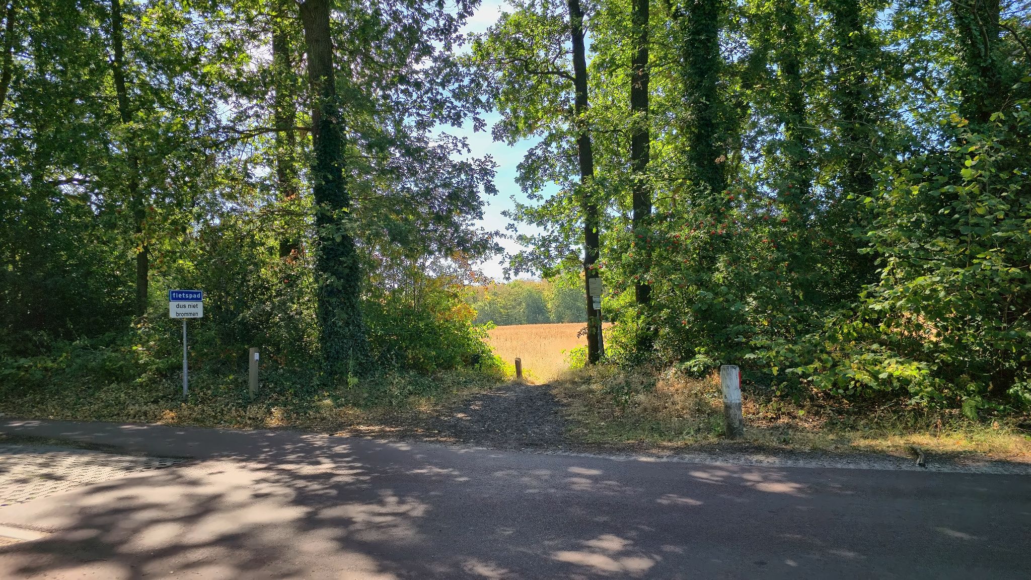 Foto 42 van de Oliepot 7-11