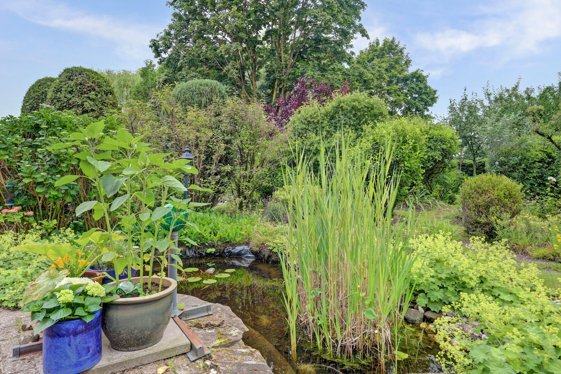 Foto 30 van Huusker 26