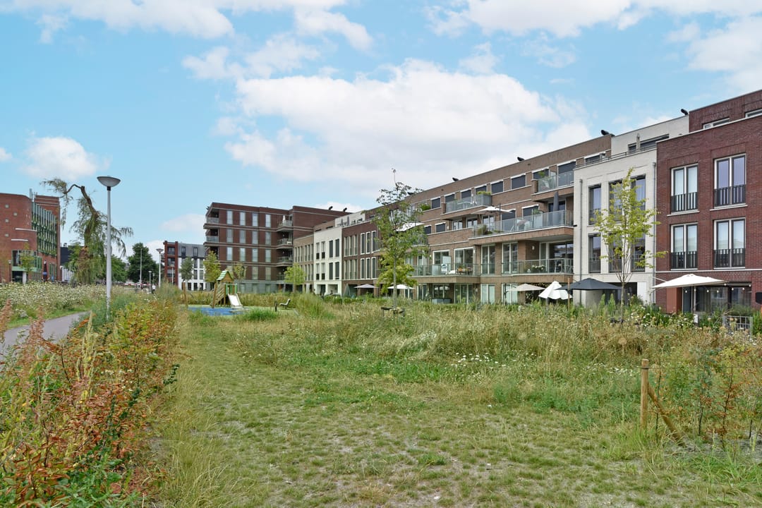 Photo 26 of Koolmeesstraat 56
