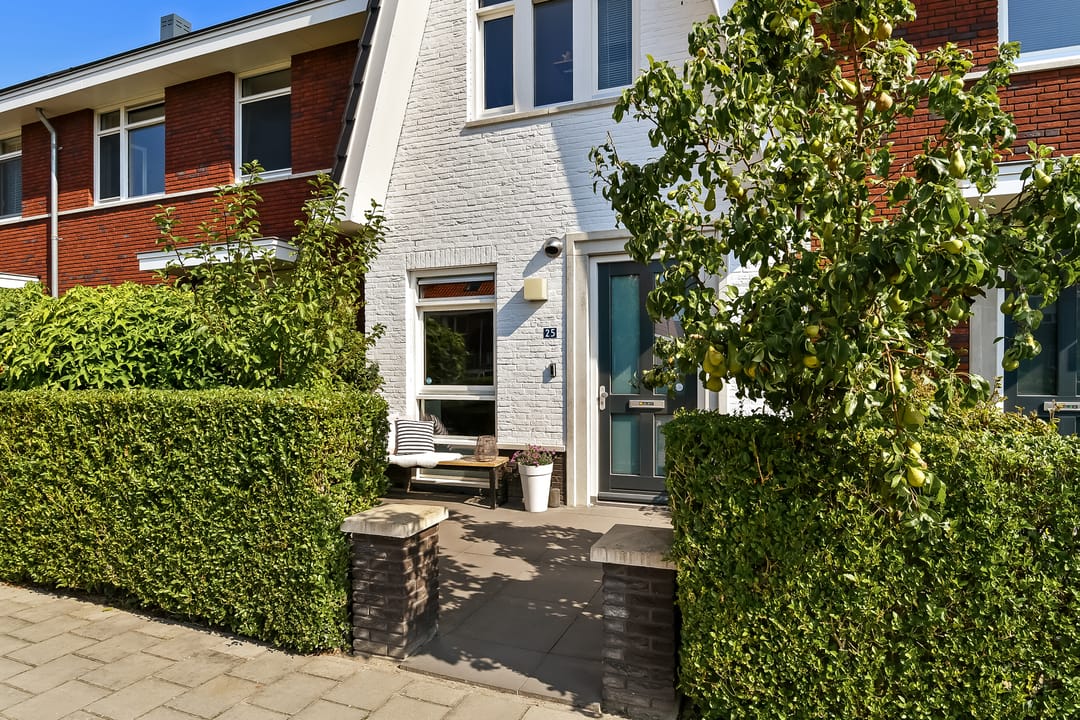 Foto 11 van Stier 25