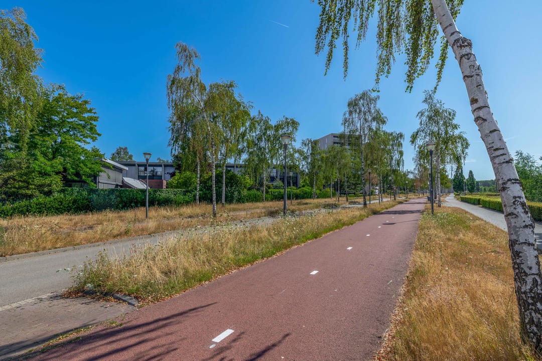 Photo 41 of Zandhoen 34