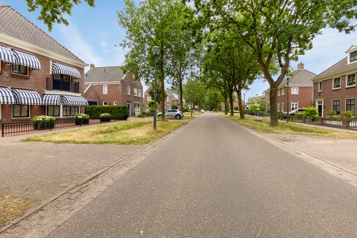 Foto 4 van Schutsboom 48