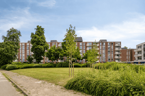 Eenhoornsingel thumbnail