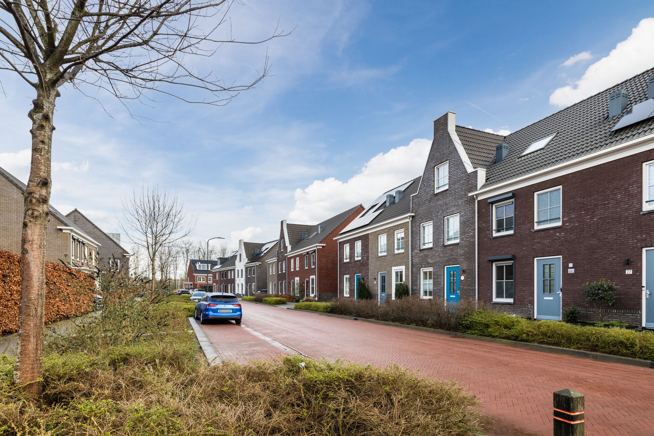 Foto 24 van Fluitenkruid 23
