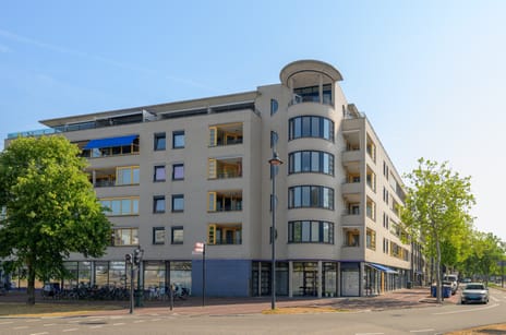 Lammermarkt thumbnail