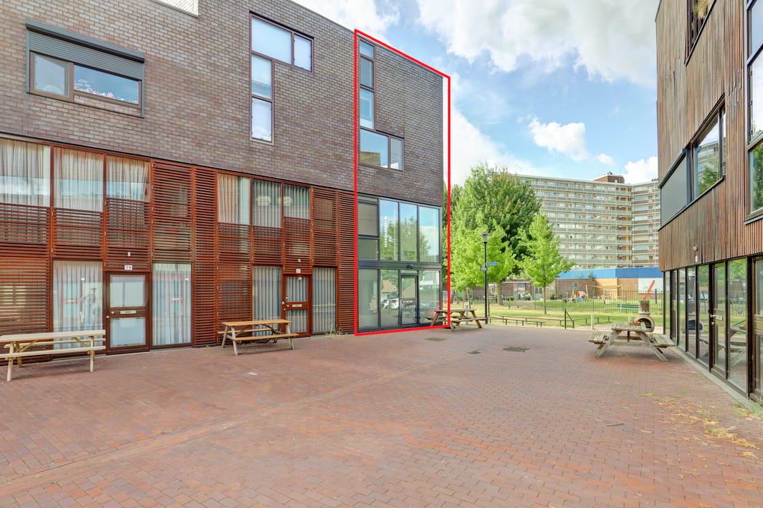 Photo 1 of Kokardebloem 83