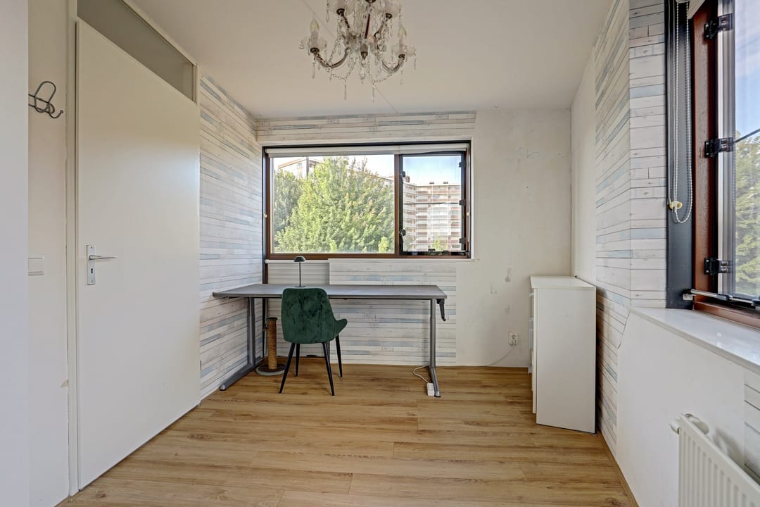 Photo 26 of Kokardebloem 83
