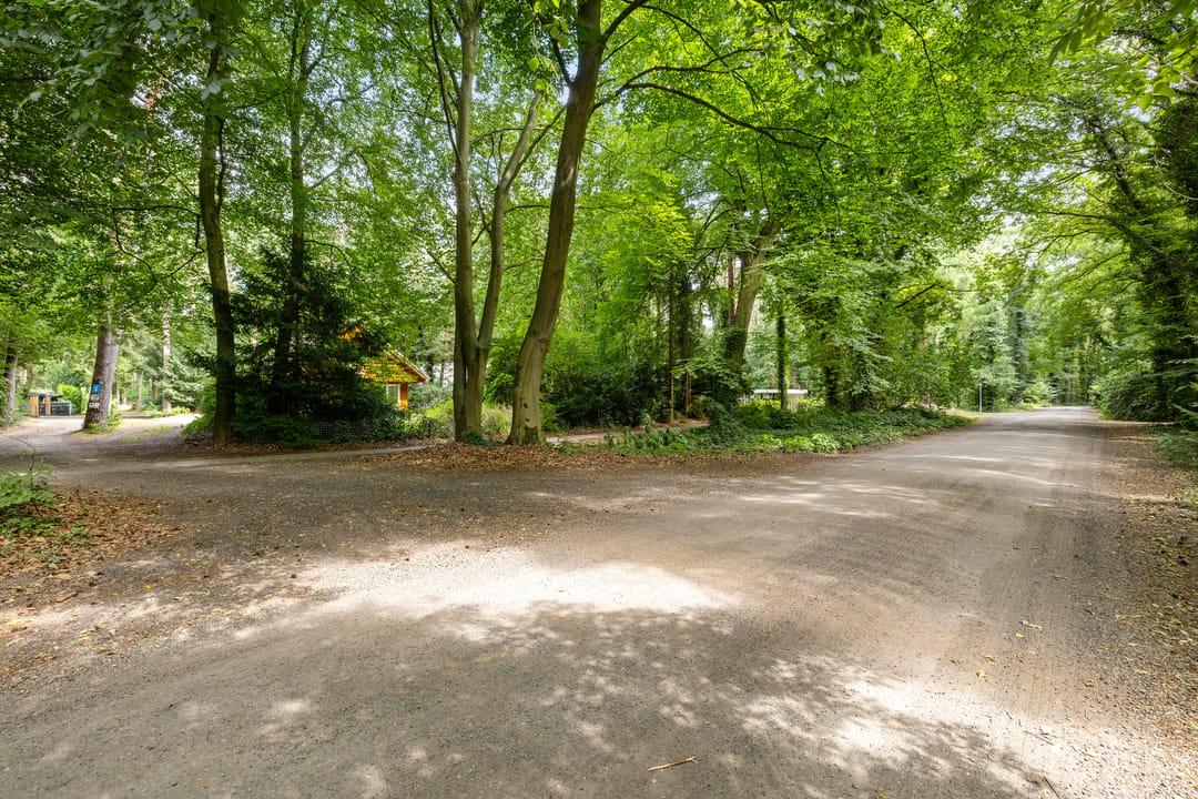 Photo 7 of Beukenlaan 2