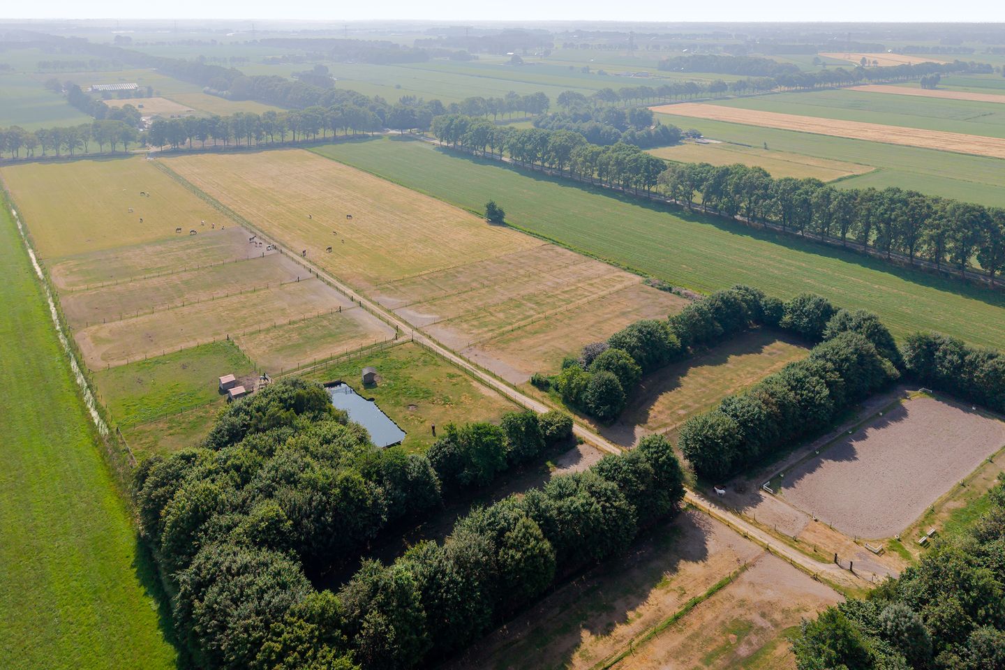 Bekijk foto 4 van Zuideropgaande 129