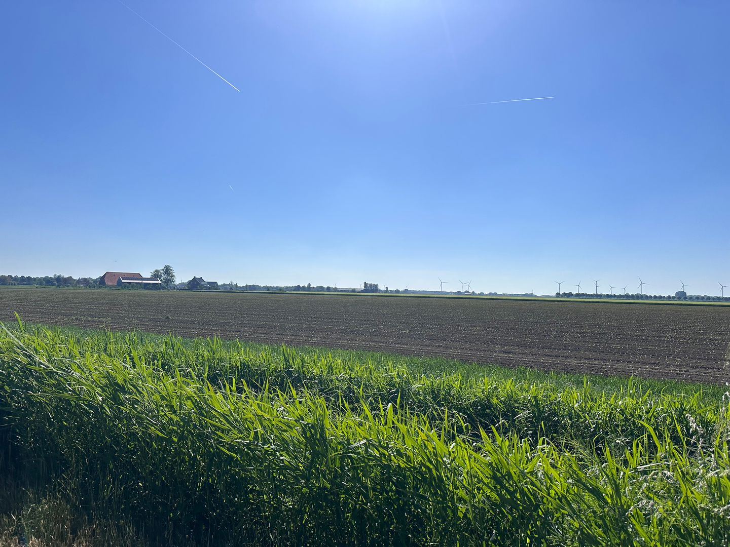Bekijk foto 4 van Korteweg