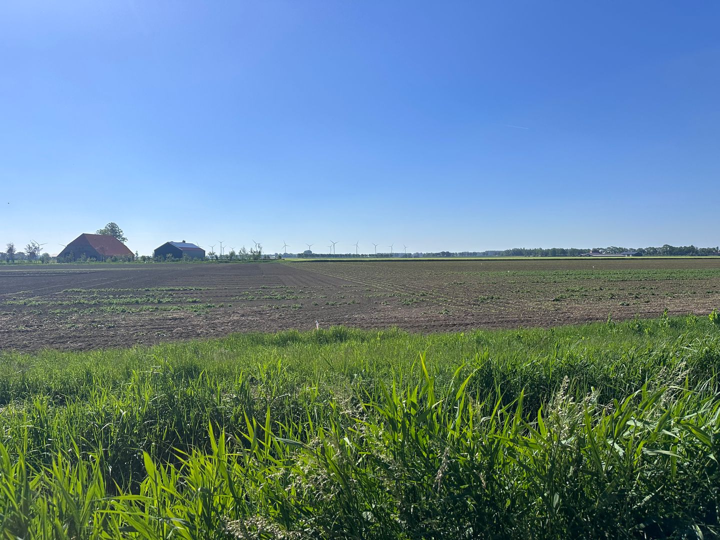 Korteweg - Klundert - Afbeelding 7