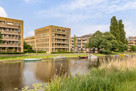 Blauwvoetstraat thumbnail