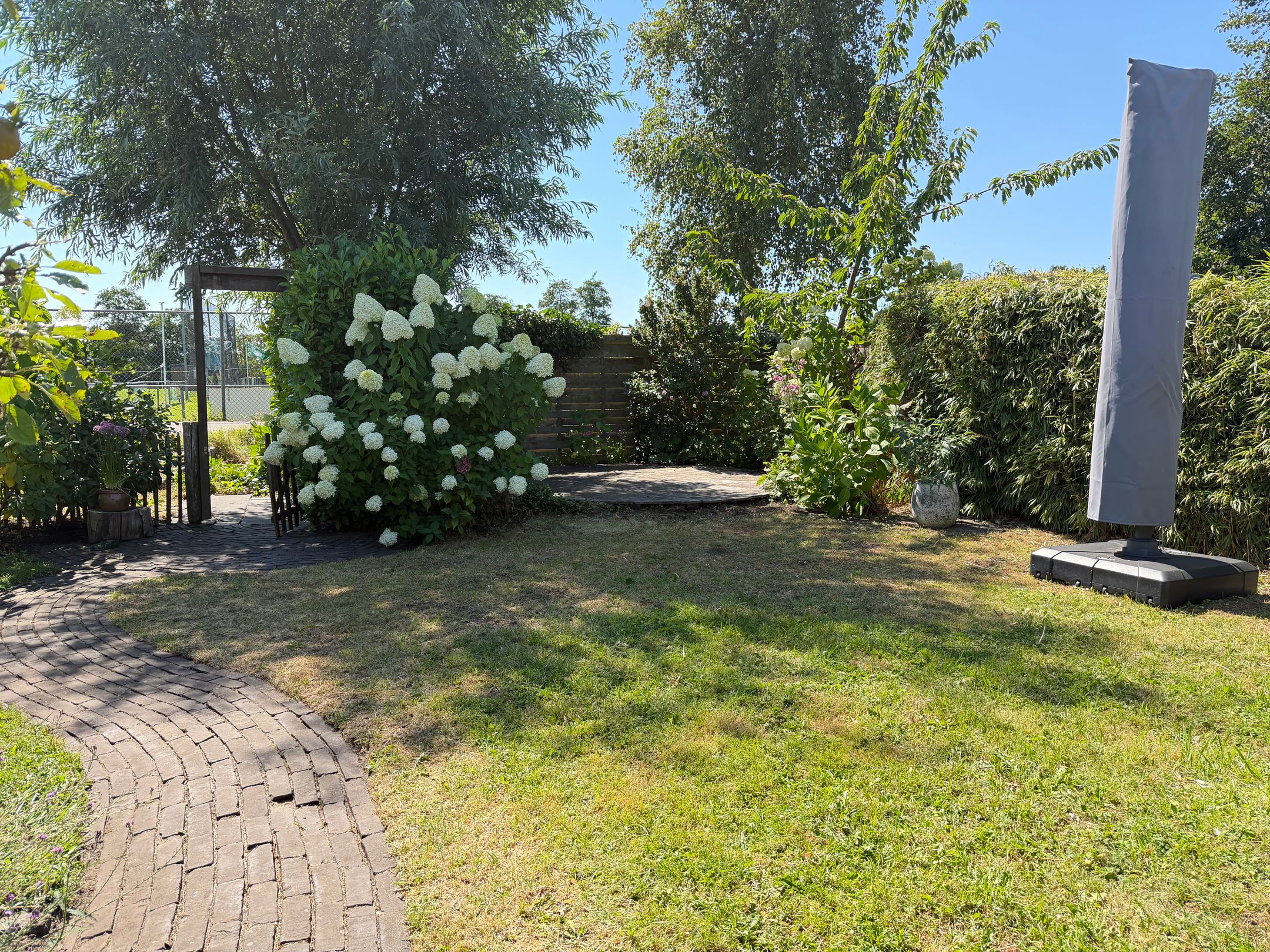 Photo 6 of Sportlaan