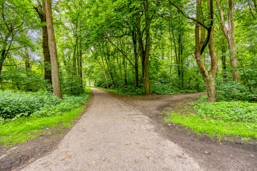 Photo 23 of Oude Karselaan 46