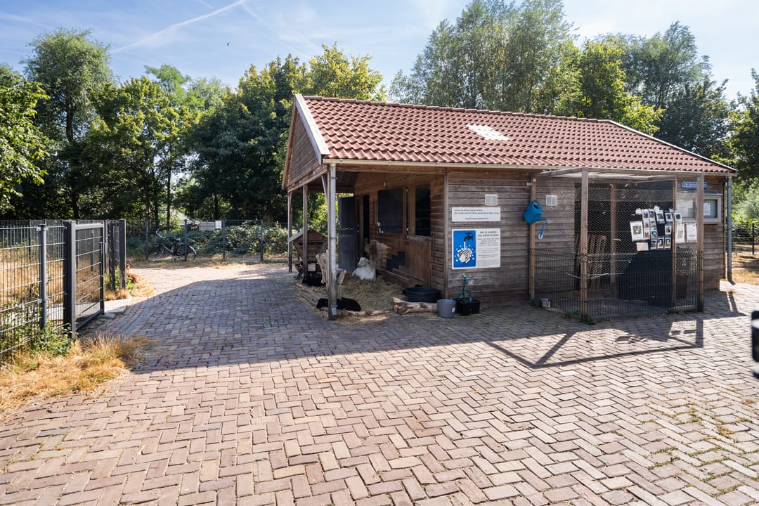 Foto 46 van Tweede Oosterparklaan 208