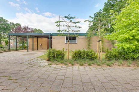 Houtweg thumbnail