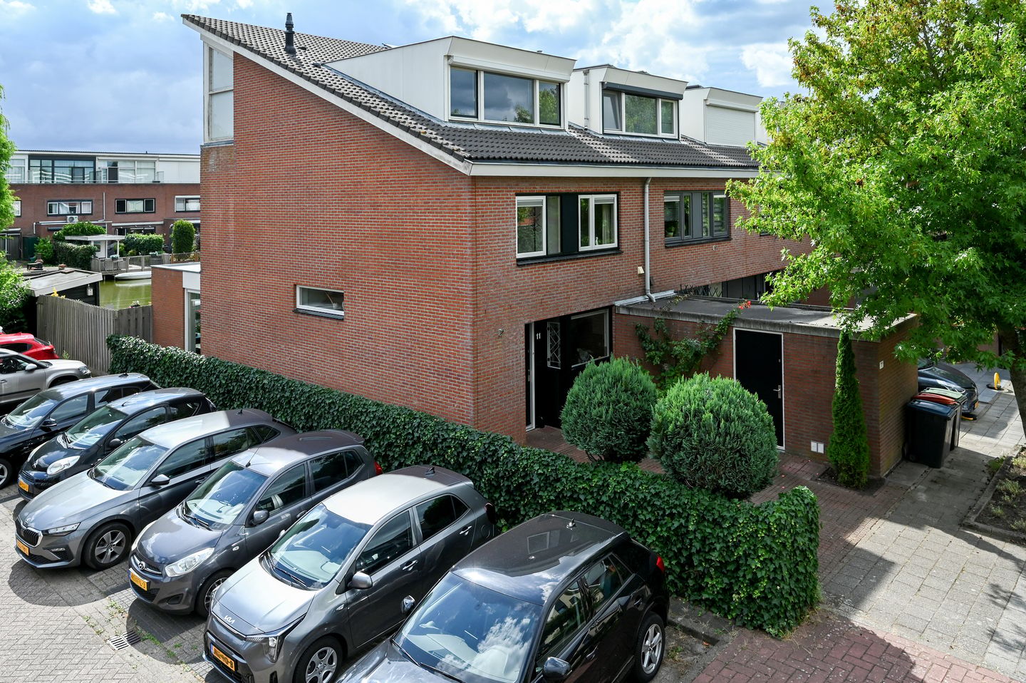 Foto 4 van Noorse Lijster 11