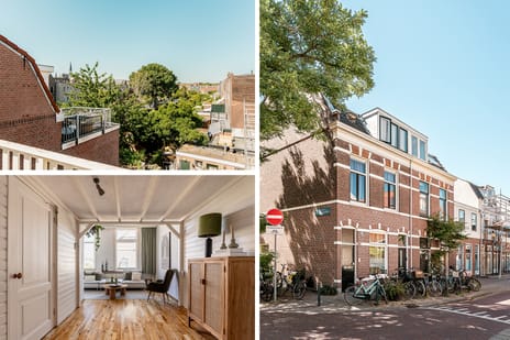 Saenredamstraat thumbnail