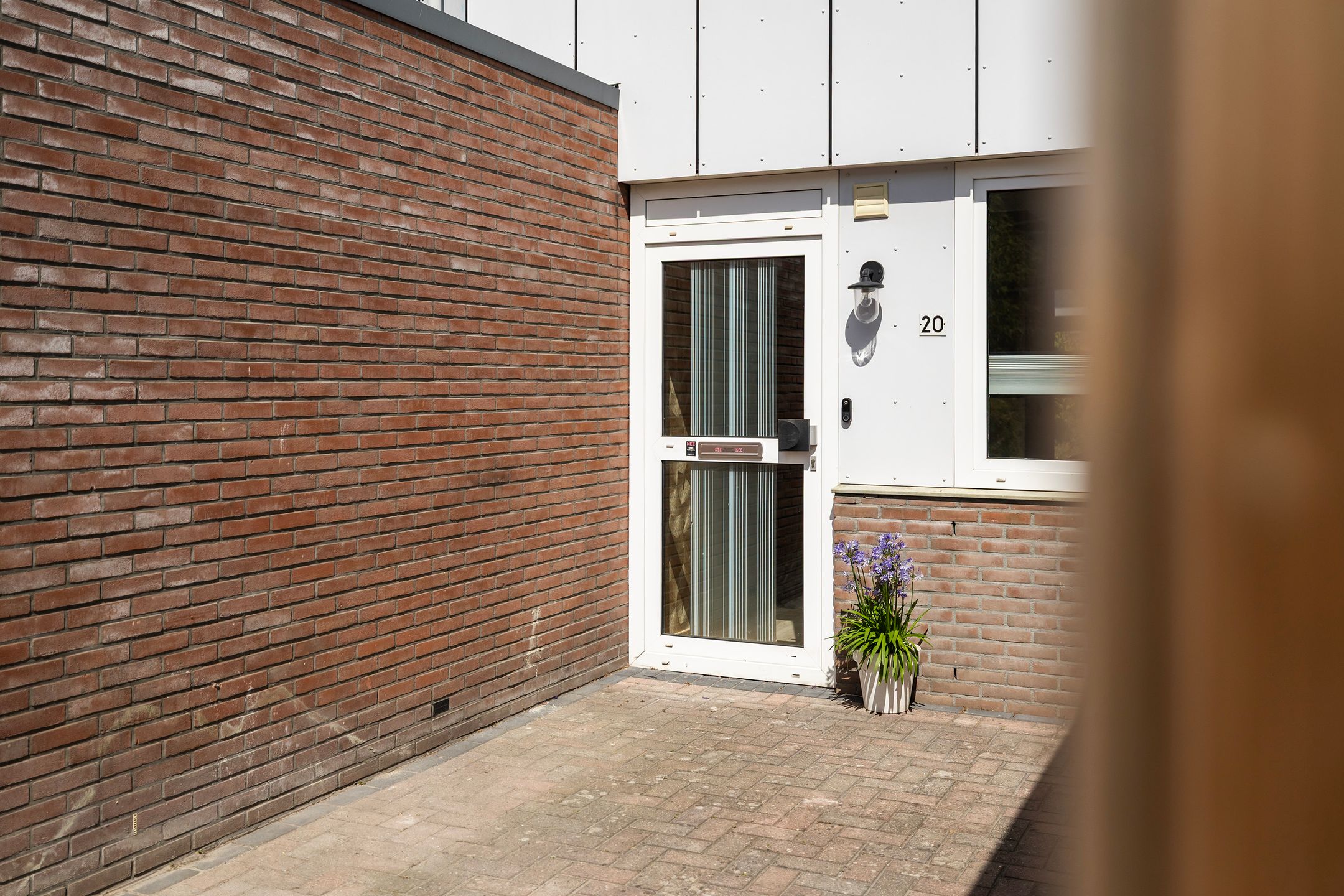 Foto 6 van Houtduif 20