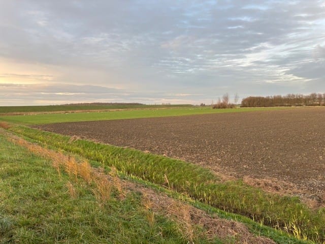 Vroonweg - Waarde - Afbeelding 4