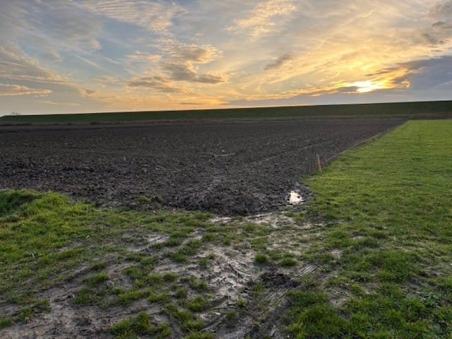 Vroonweg - Waarde - Afbeelding 7