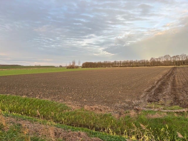 Vroonweg - Waarde - Afbeelding 3