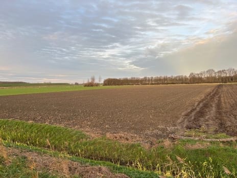Bekijk foto's