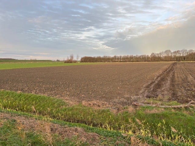 Vroonweg - Waarde - Afbeelding 5