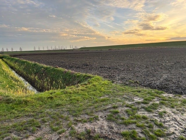 Vroonweg - Waarde - Afbeelding 6