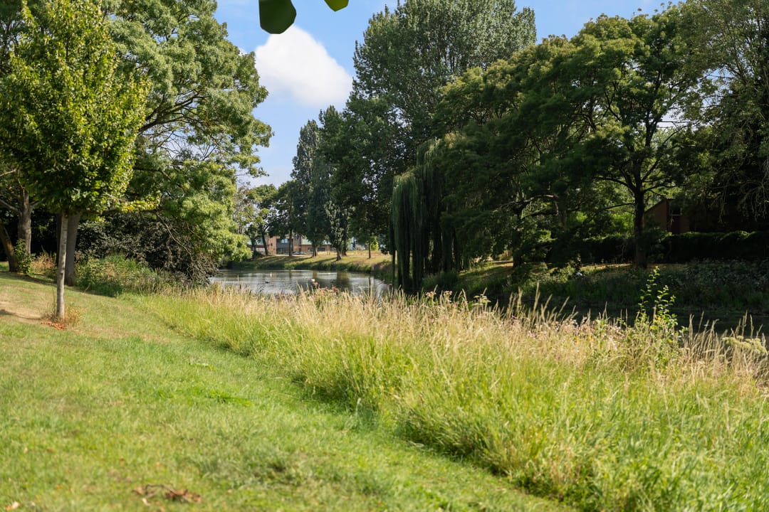 Foto 47 van Oranjelaan 25