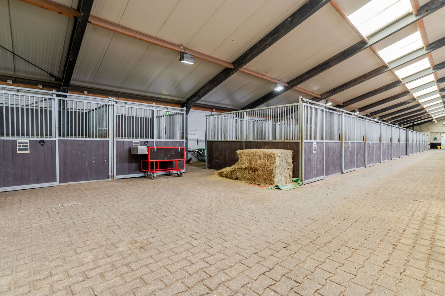 Zuideropgaande 129 - Hollandscheveld - Afbeelding 5