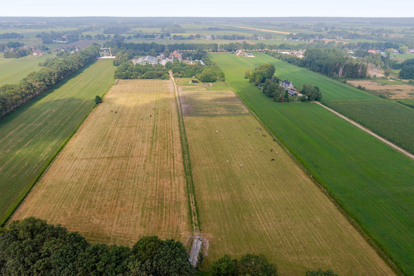 Zuideropgaande 129 - Hollandscheveld - Afbeelding 7