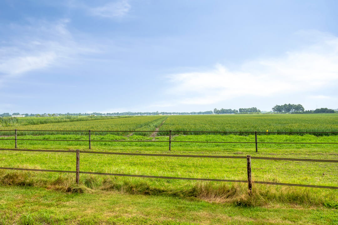 Photo 37 of Ommelanderwijk 299