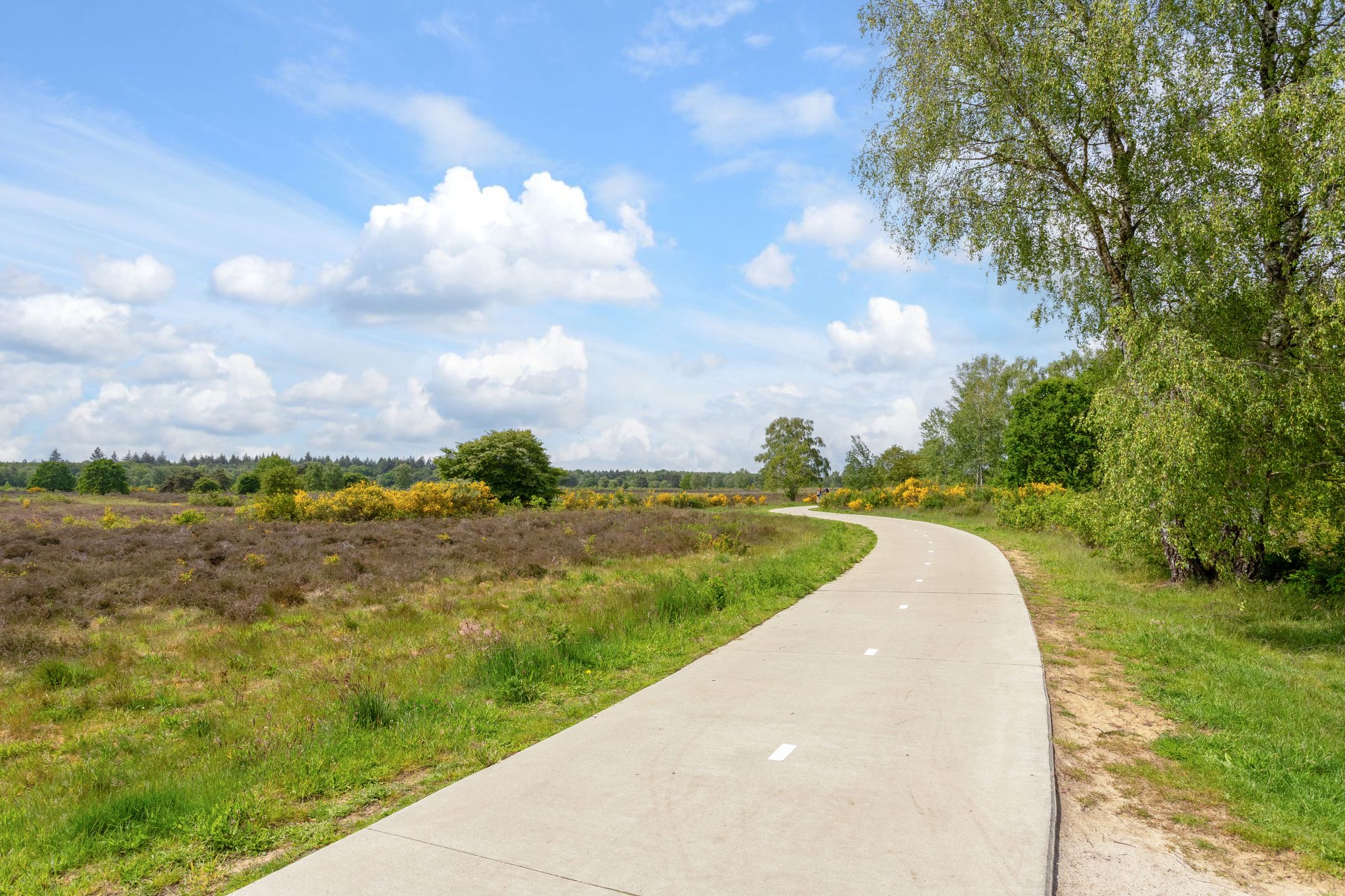 Foto 42 van Herderlaan 29