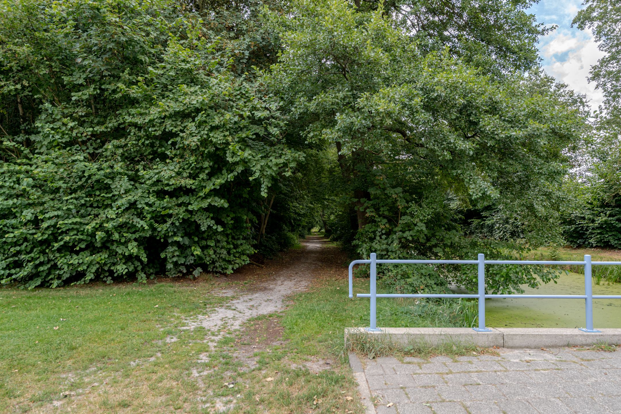 Photo 51 of de Line 14