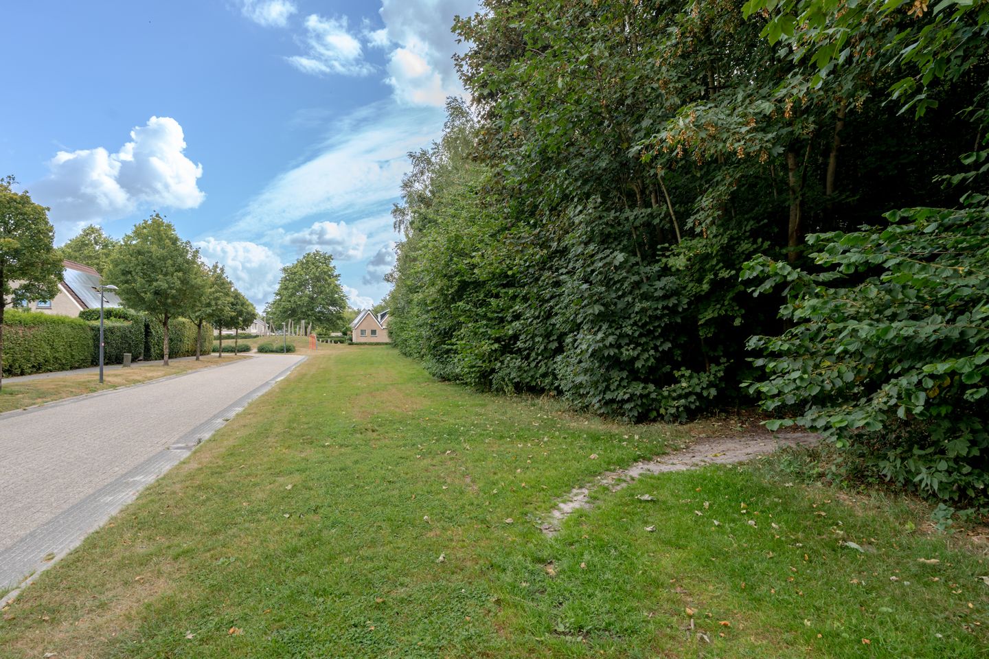 Photo 50 of de Line 14
