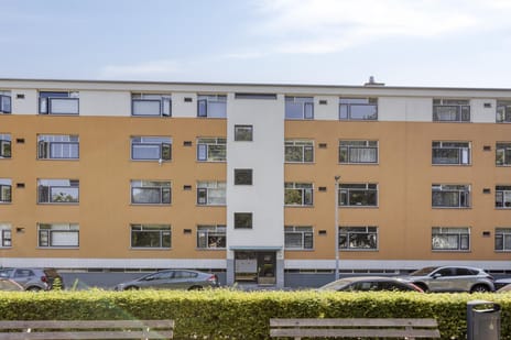 Blaauwstraat thumbnail
