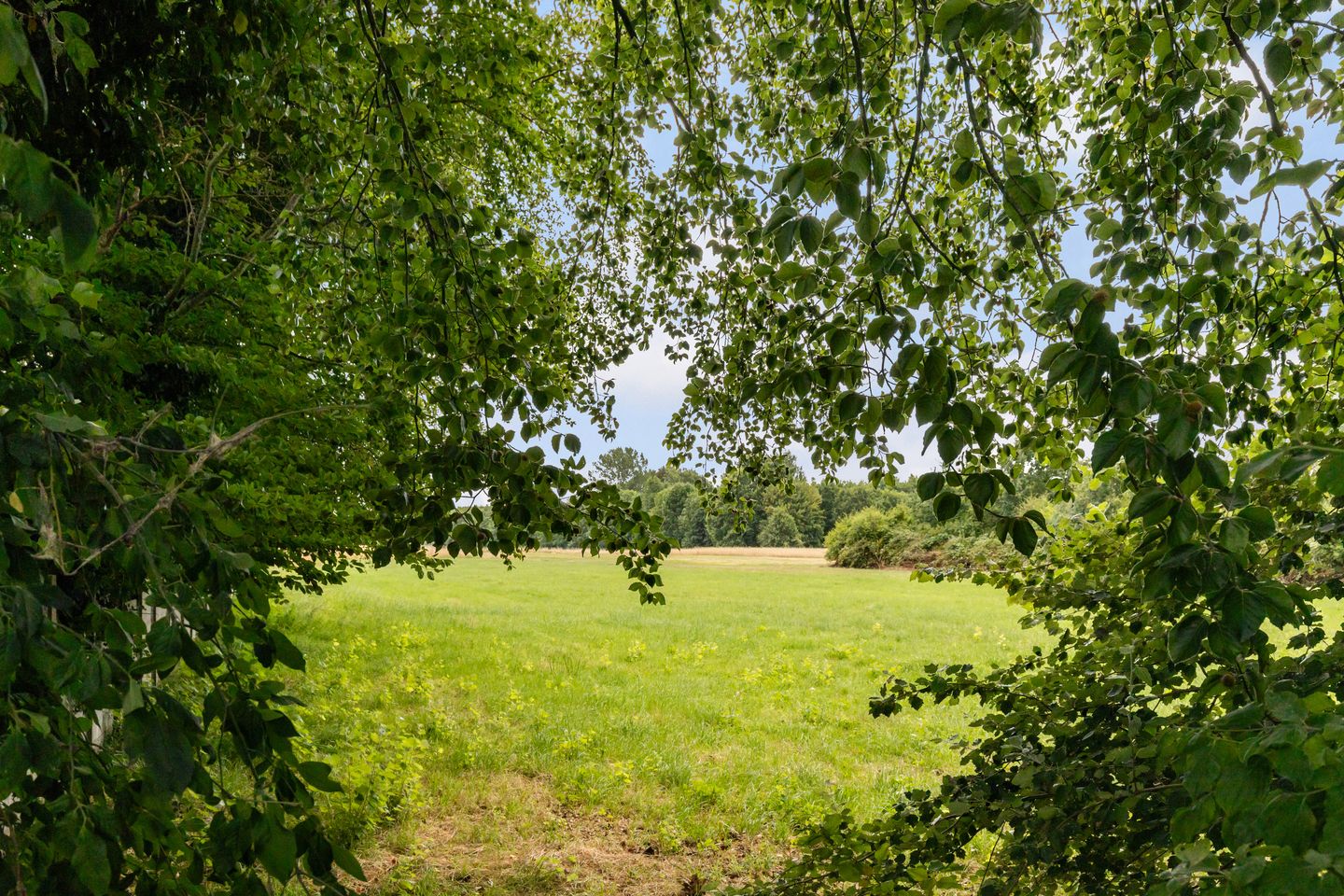 Foto 49 van Brugakker 6515