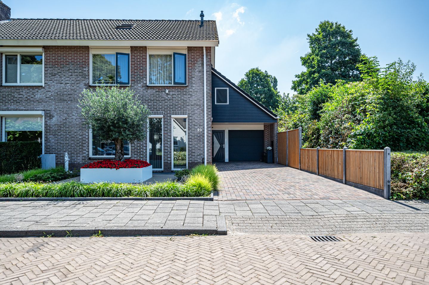 Foto 1 van Tureluur 23