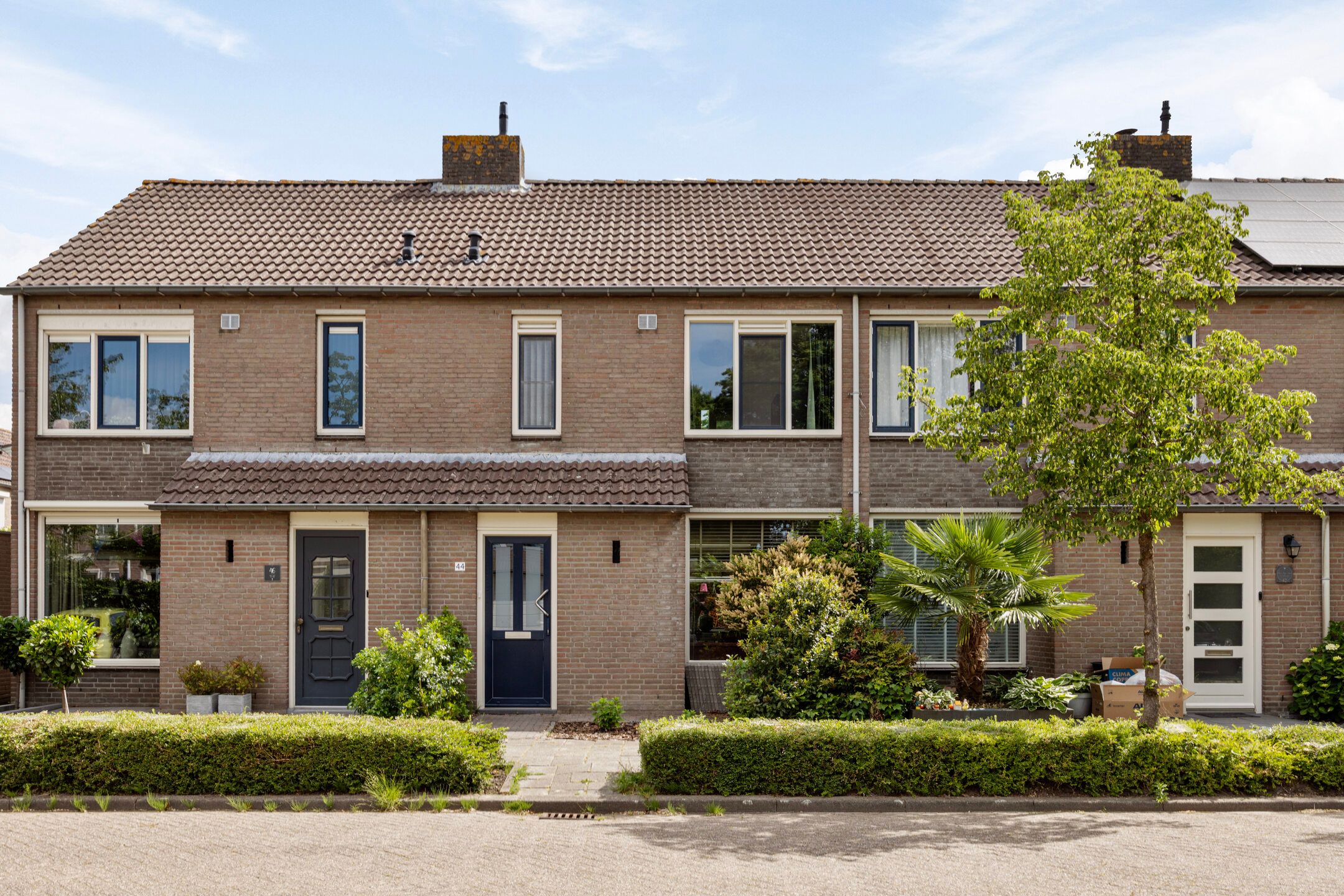 Koperwiek 44