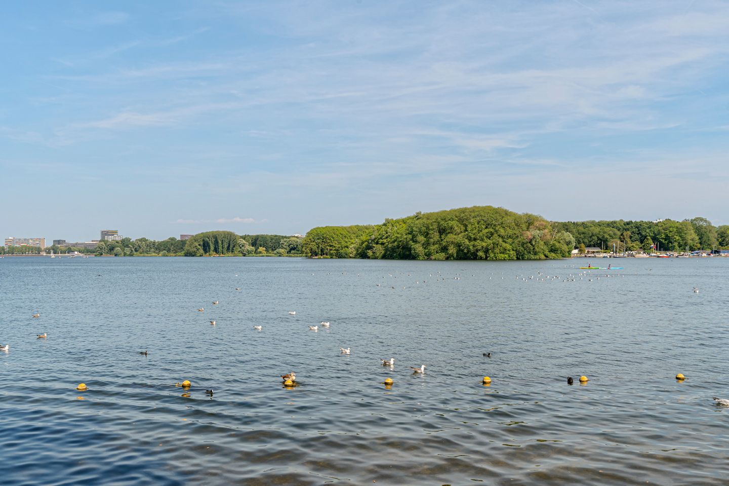 Foto 40 van Wolbrantskerkweg 19
