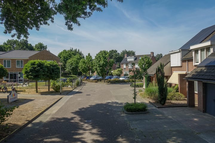 Photo 2 of Patrijs 17