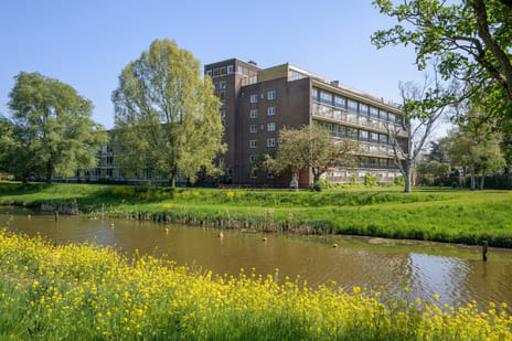 Jan Nieuwenhuyzenstraat thumbnail