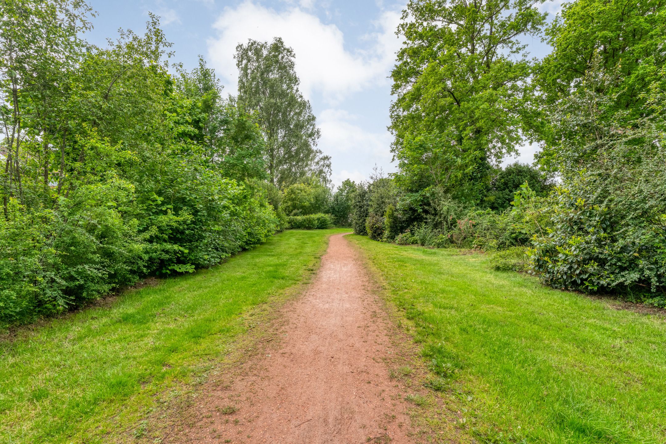 Photo 48 of Rheezerweg 43