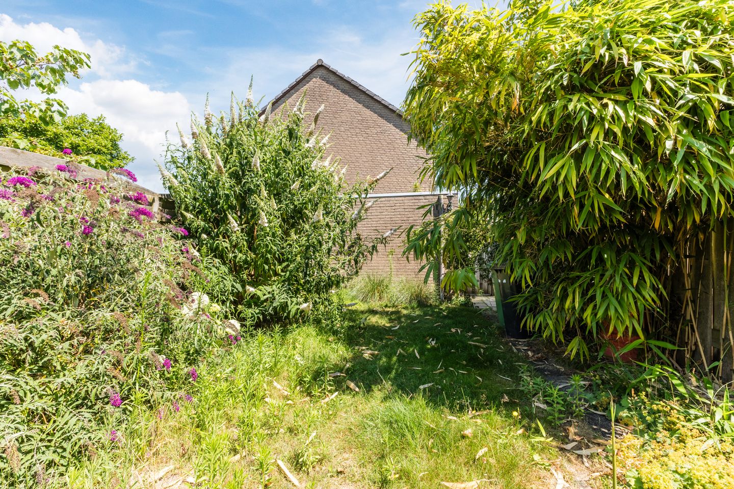 Photo 25 of Meeuwdonk 53