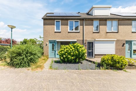 Meeuwdonk thumbnail