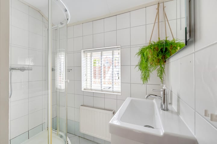 Foto 4 van Witte de Withstraat 9