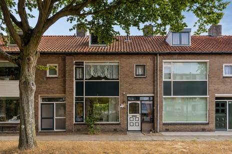 Vingerhoed thumbnail
