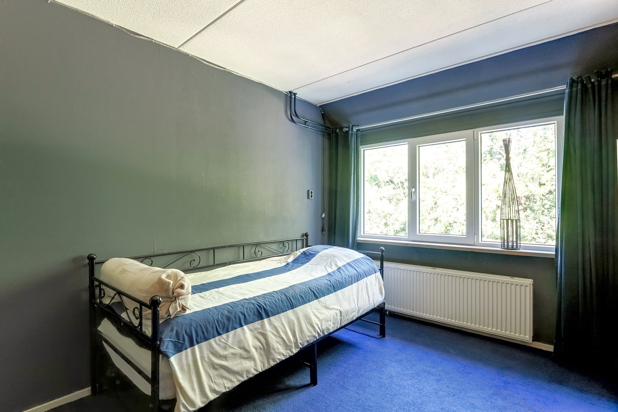 Photo 24 of Sleutelbloem 17