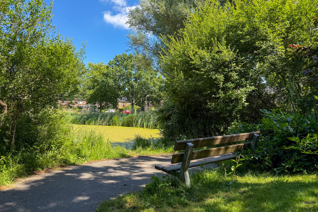 Photo 53 of Natteweg 35